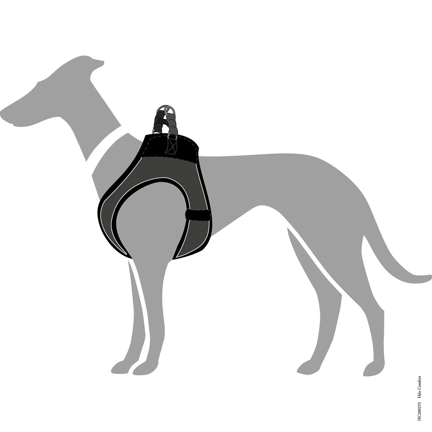 Vorschaubild 63