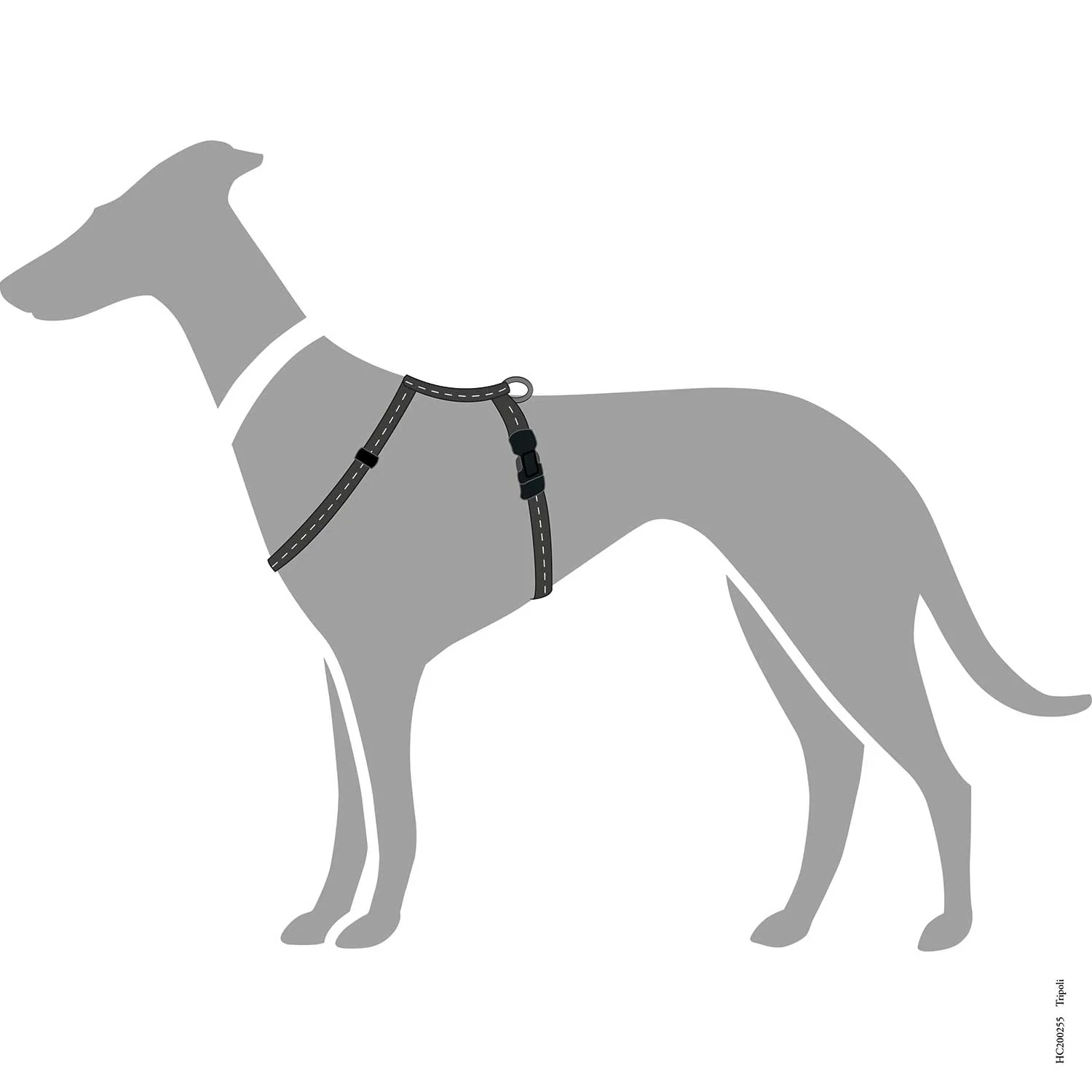 Vorschaubild 27