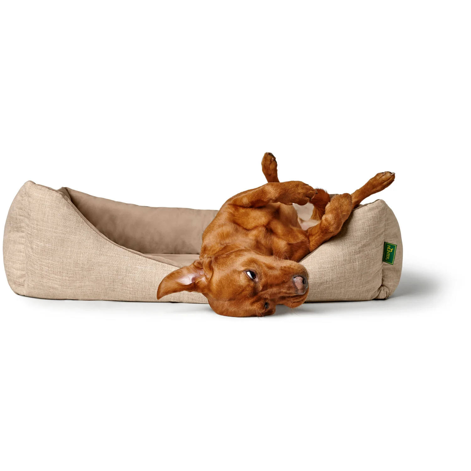 Vorschaubild 8