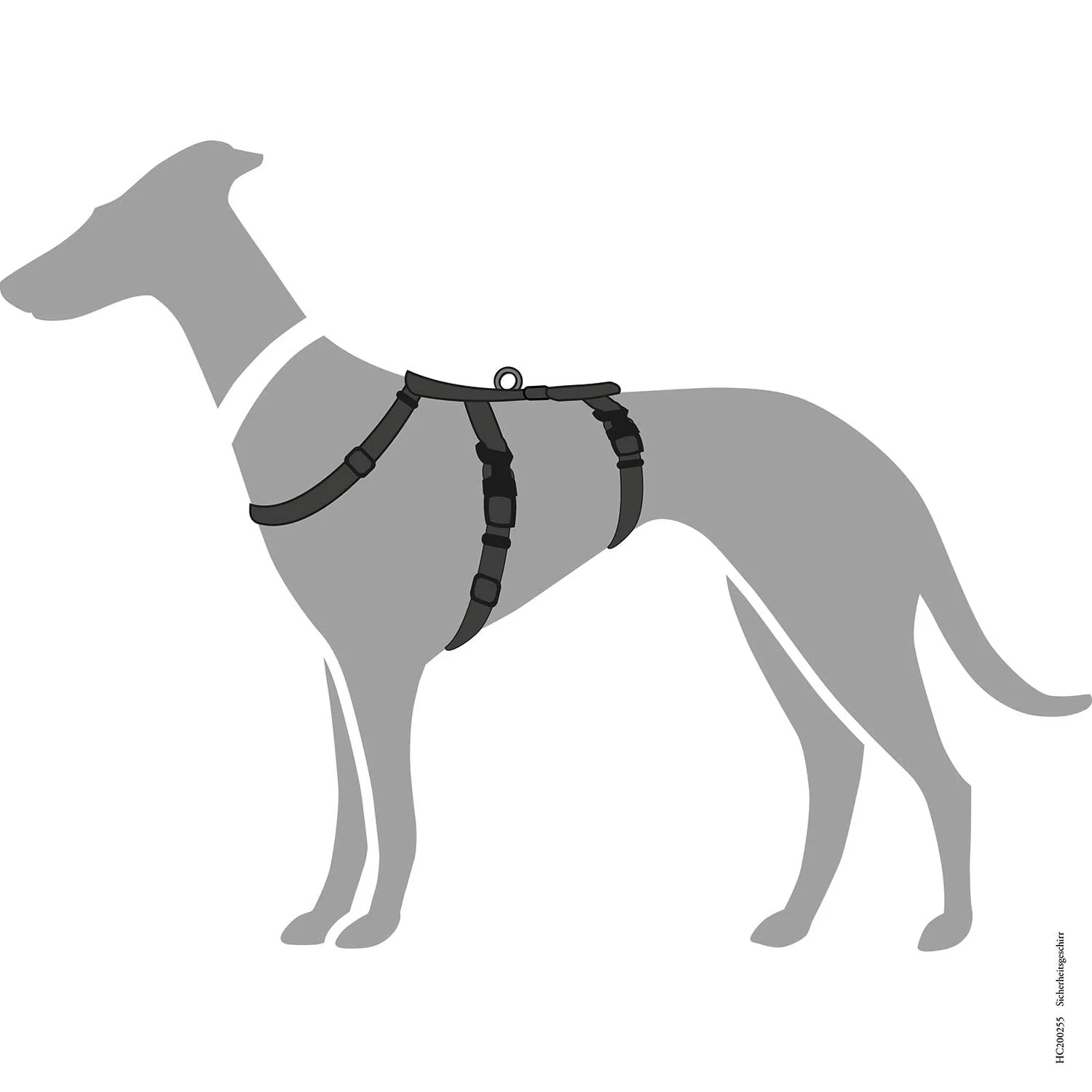 Vorschaubild 12